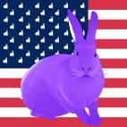 LAVANDE-FLAG MARRON GLACE FLAG rabbit flag Showroom - Inkjet on plexi, limited editions, numbered and signed. Wildlife painting Art and decoration. Click to select an image, organise your own set, order from the painter on line